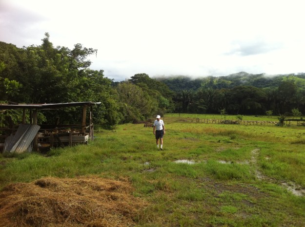 Farm for Sale in Montelimar