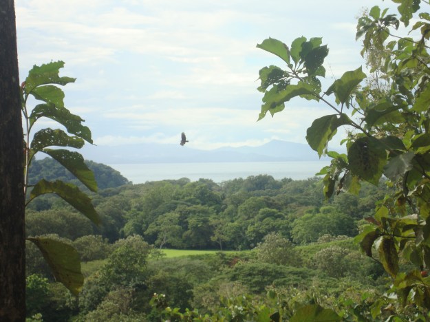 Property for Sale in Plantation, Costa Rica