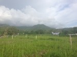 View of lot for sale in Jaco